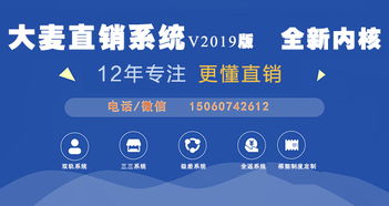 直銷軟件開發(fā)與人工智能公共服務平臺技術咨詢服務