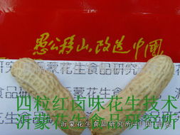 四粒紅鹵味花生技術(shù)轉(zhuǎn)讓全攻略 掌握核心工藝，開啟創(chuàng)業(yè)之路